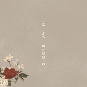 Shawn Mendes - In My Blood （降6半音）