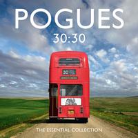 Pogues & Dubliners - The Irish Rover (karaoke)