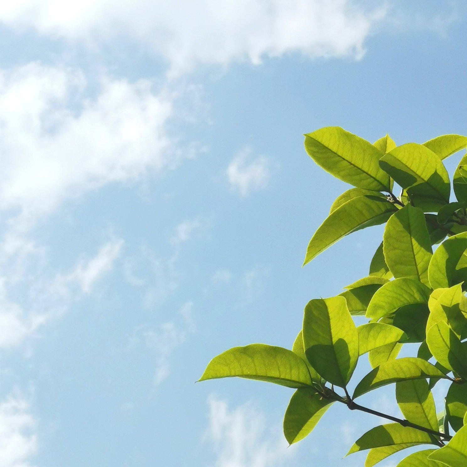 人生如舟，江上清欢