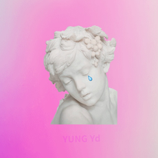 YUNG Yd