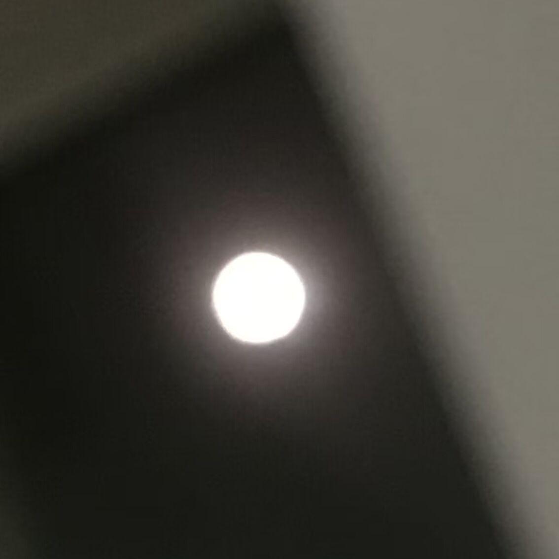 月打令달타령（Mr.Trot top6 ver.）