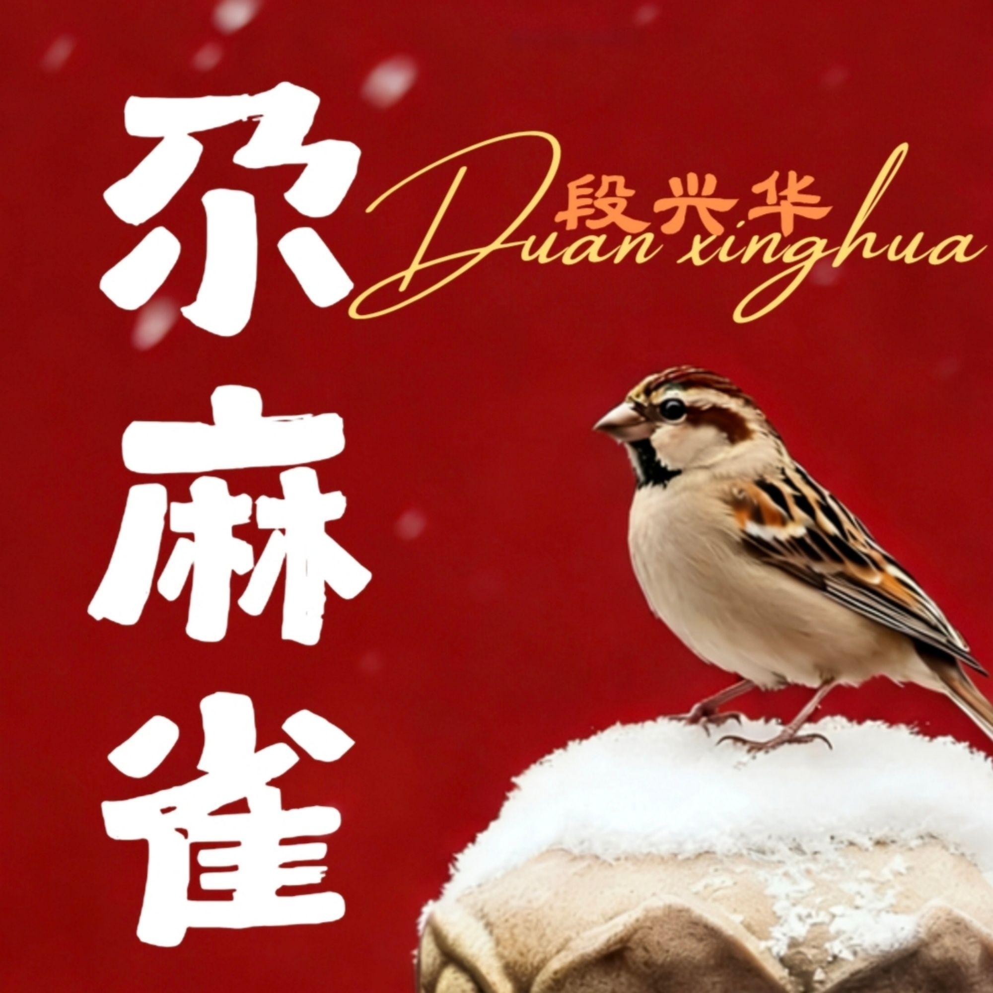 尕麻雀