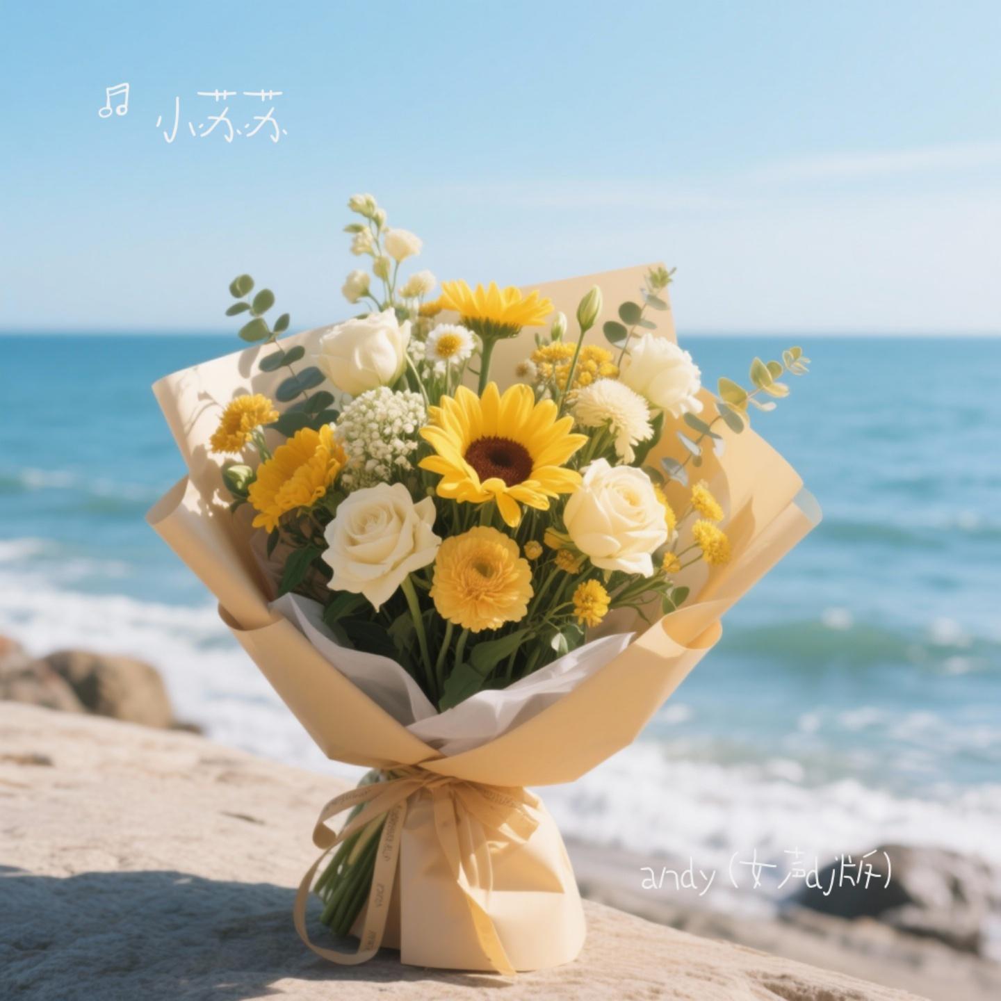 andy (女声dj版)（小苏苏 Remix）