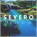 I'm not the only one (Severo Remix)专辑