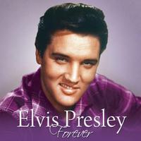 Elvis Presley - (Let Me Be Your) Teddy Bear (karaoke)