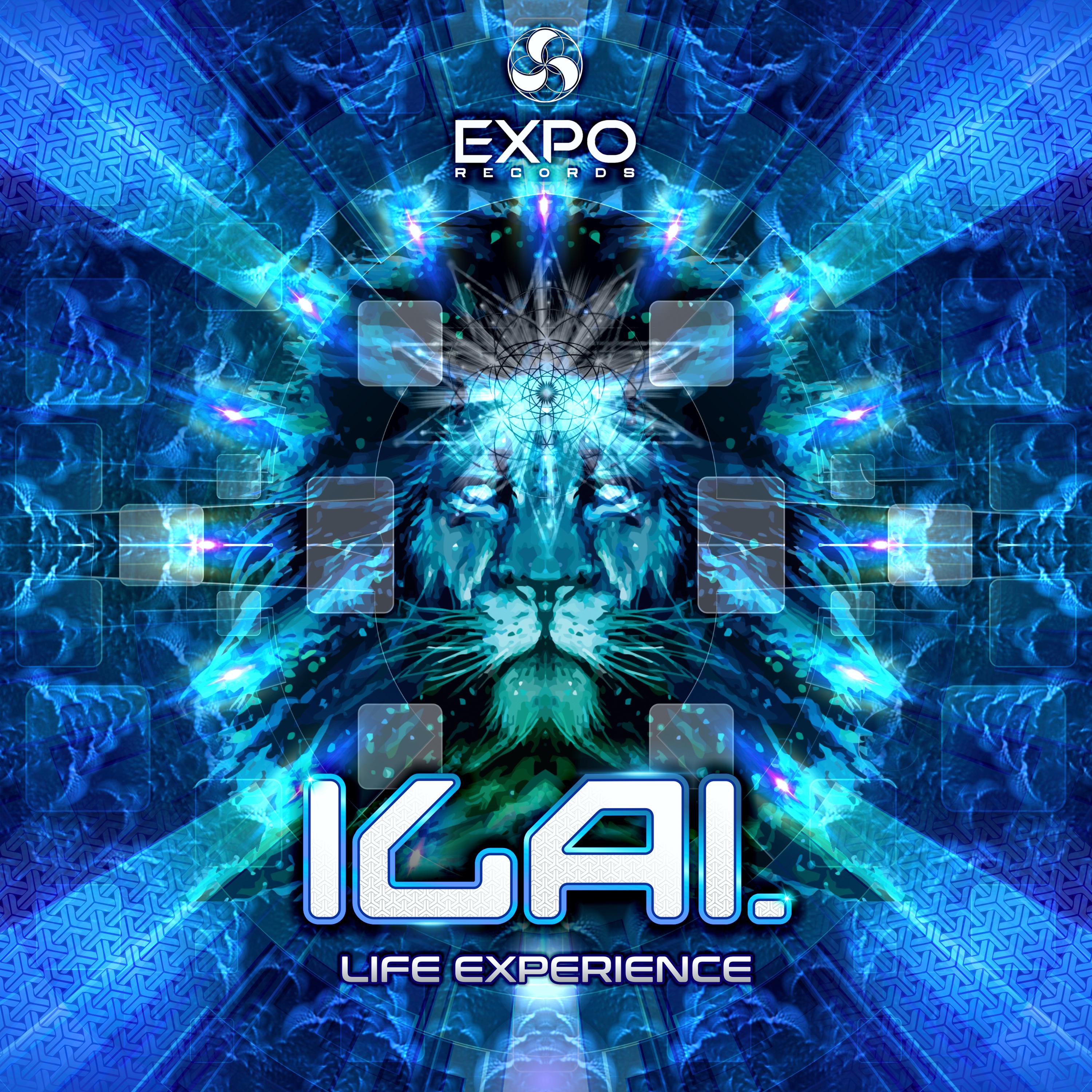 Life Experience