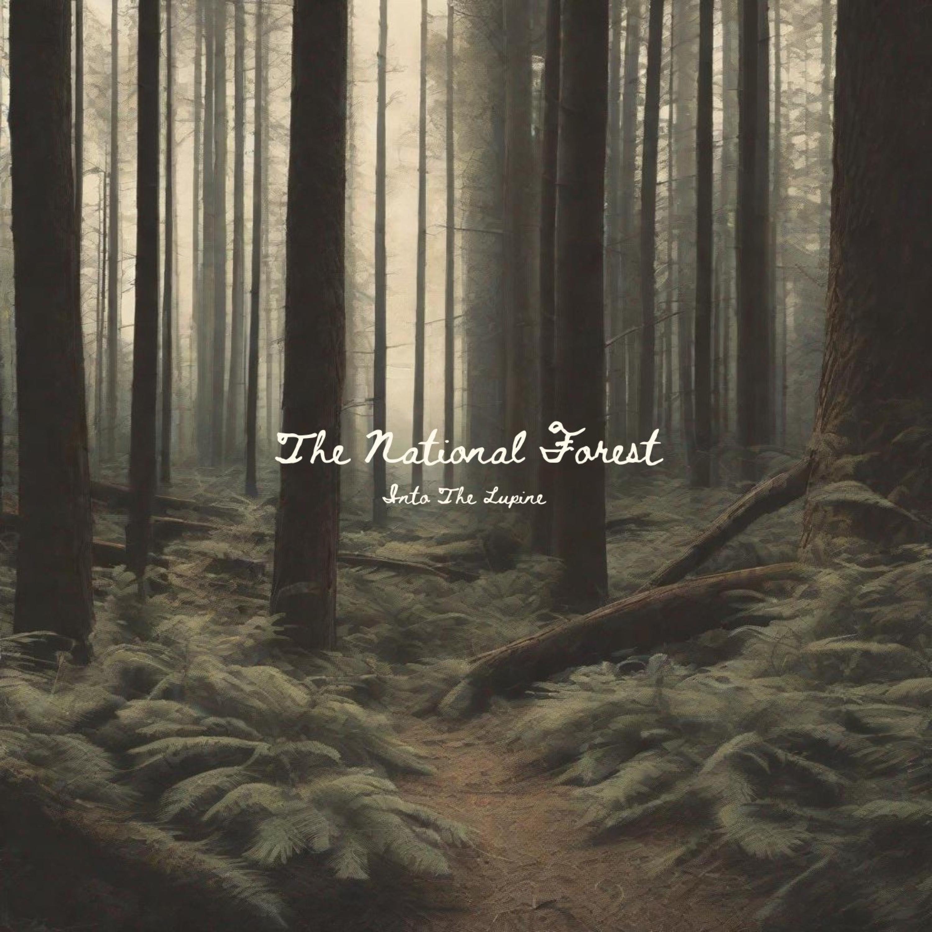 Love I'm Looking For