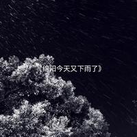 锦阳又下雨了remix