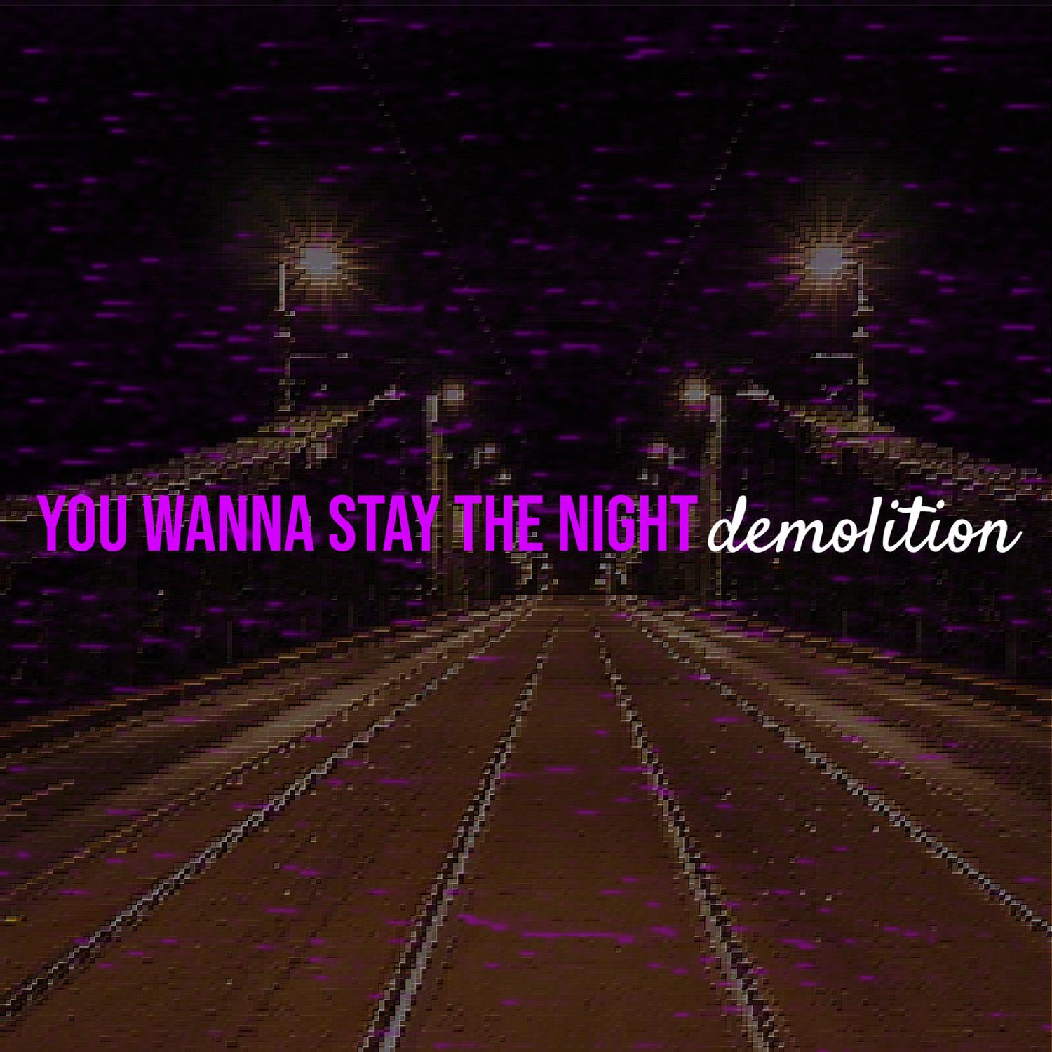 You Wanna Stay the Night