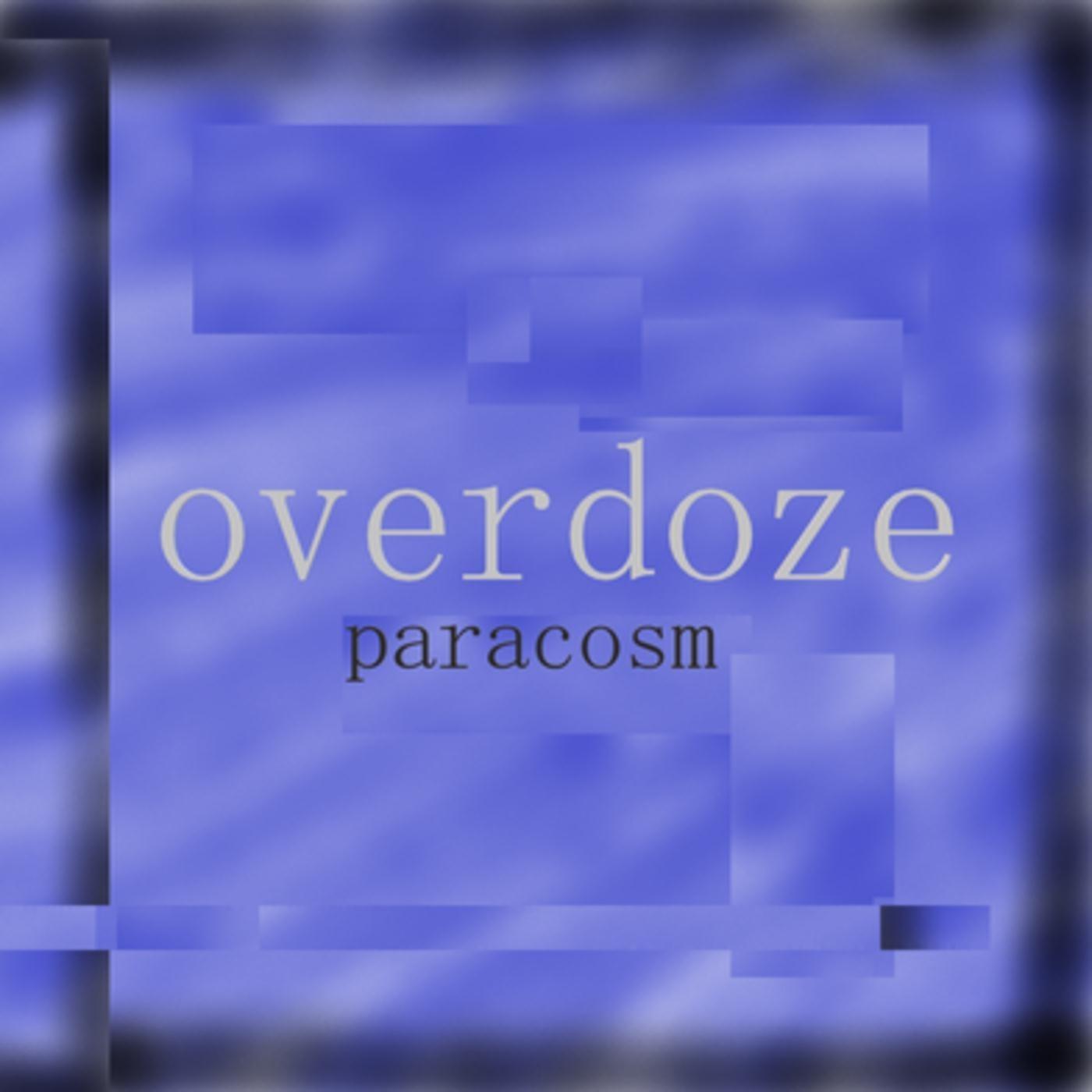 Paracosm
