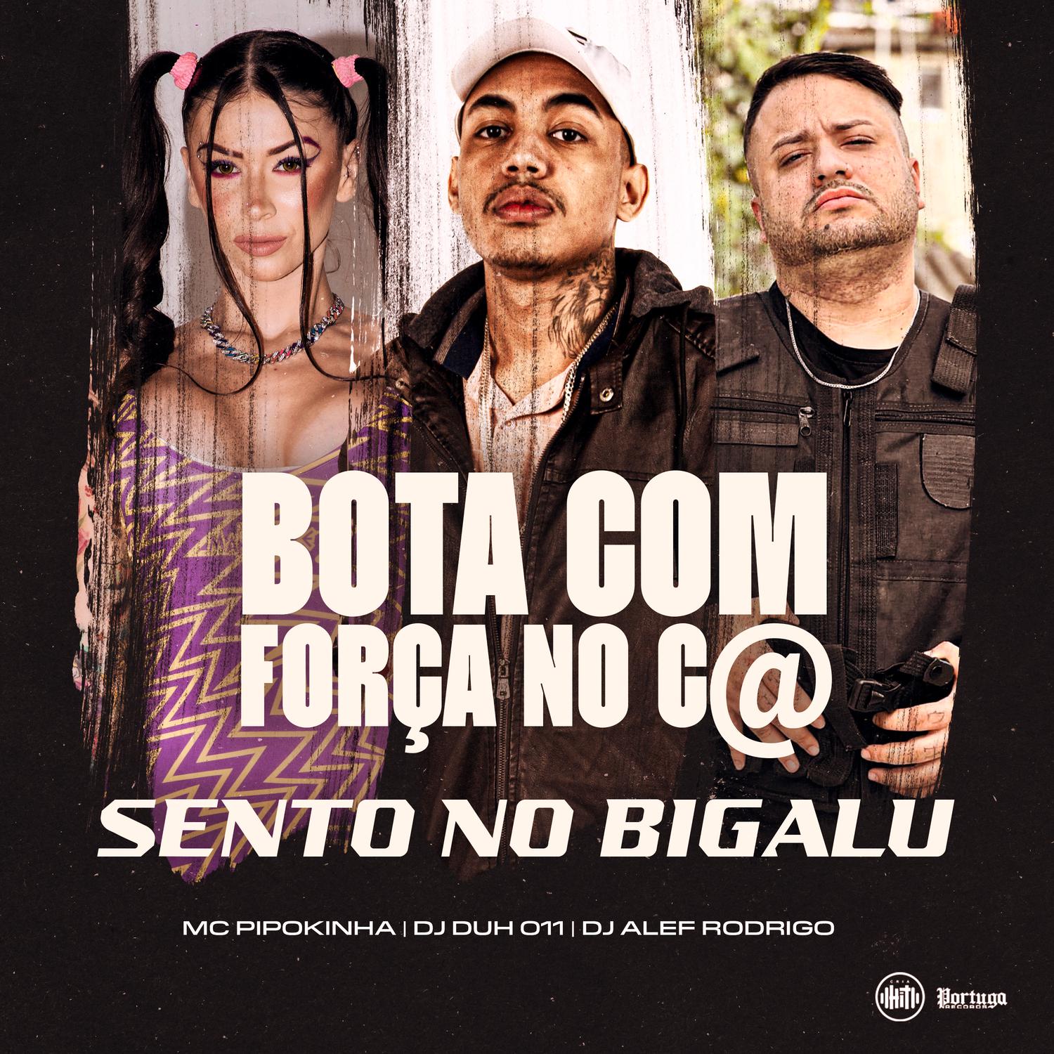 DJ DUH 011 - BOTA COM FORÇA NO C@ - SENTO NO BIGALU