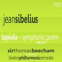 Sibelius: Tapiola - Symphonic Poem, Op. 112专辑