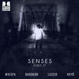 Senses (The Remixes)