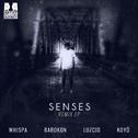 Senses (The Remixes)专辑