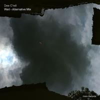 Weit (Alternative Mix)
