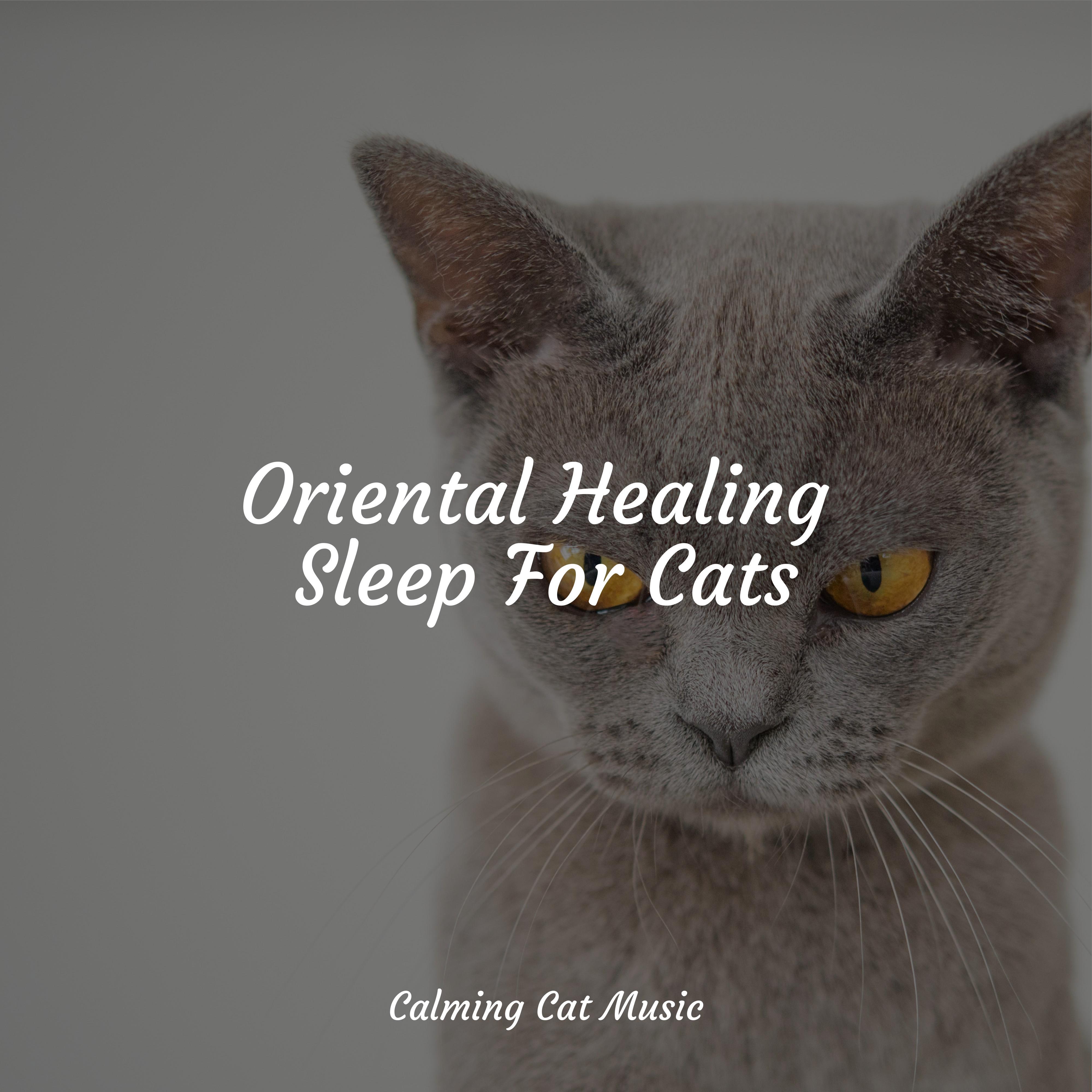 Jazz Music for Cats - Healing