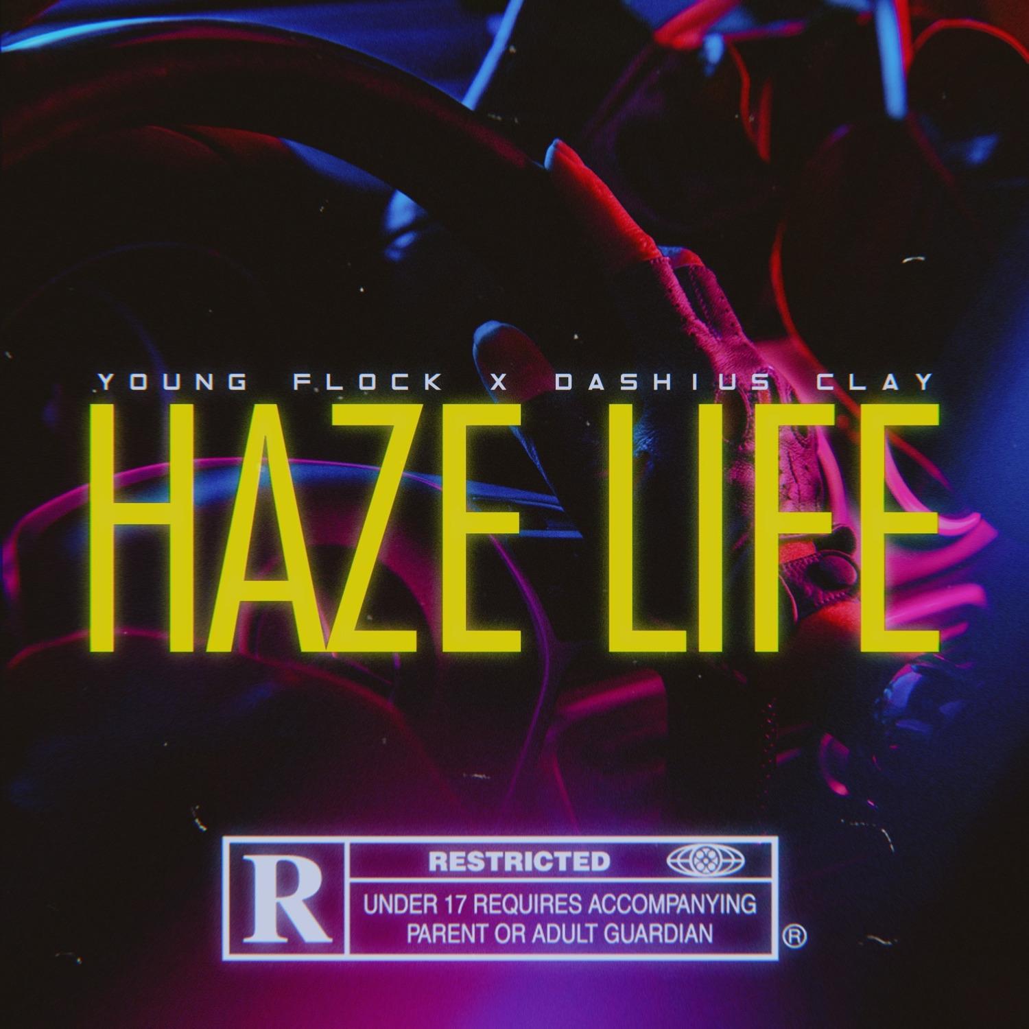 Haze Life