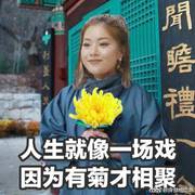 创造101主题曲
