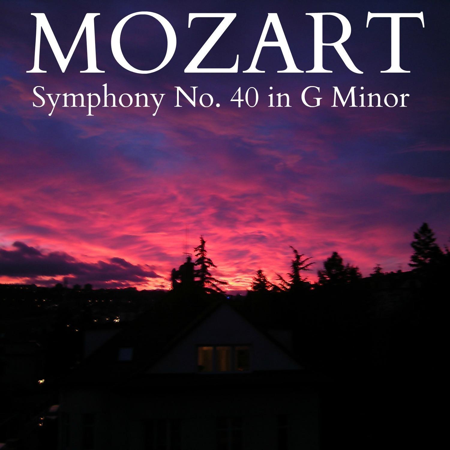 Symphony No. 40 in G Minor, K550: Allegro Molto