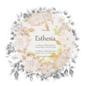 Esthesia专辑