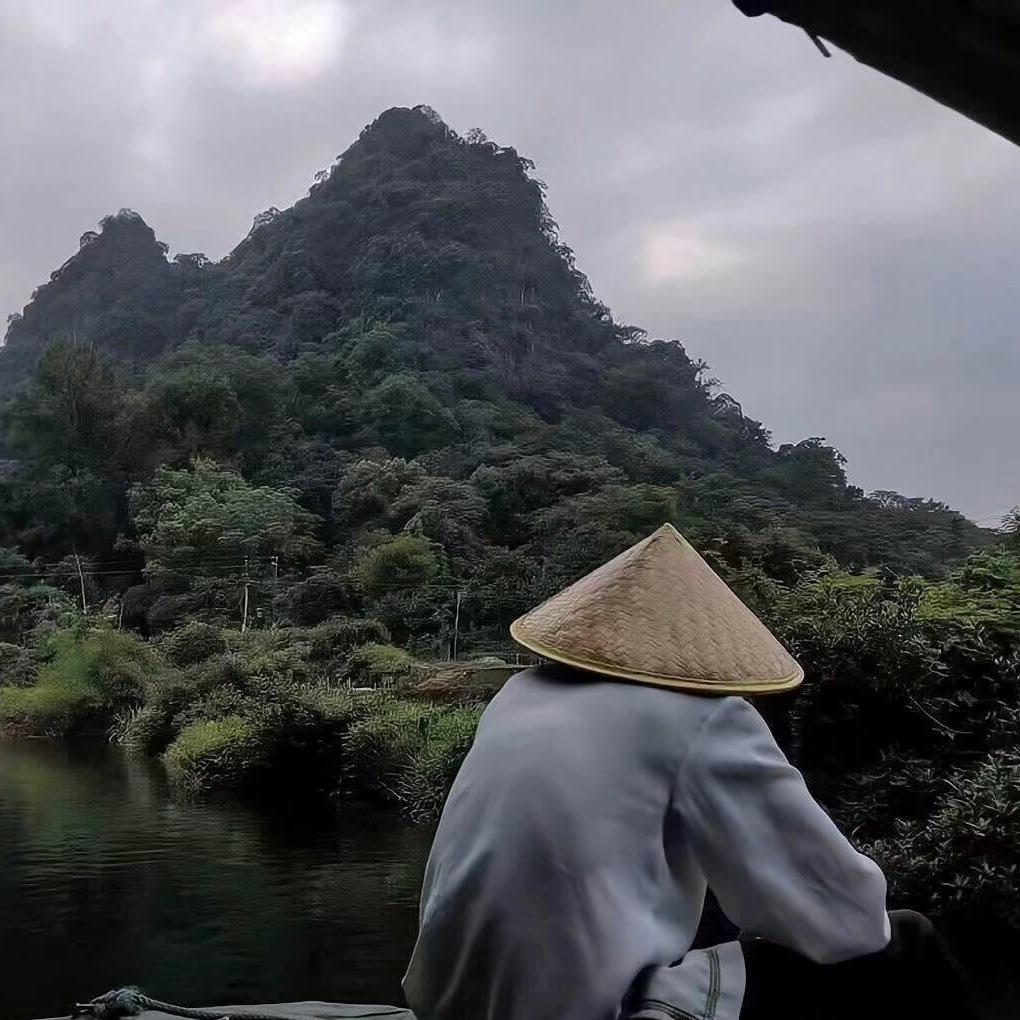 失眠症（dj版）