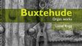 Buxtehude: Organ Works专辑