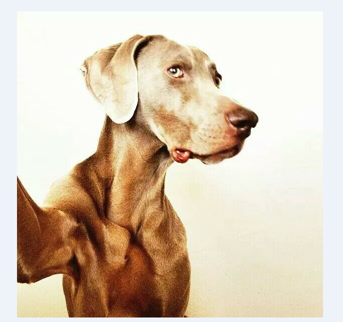 曲目1  5首 完美HOUSE经典混搭