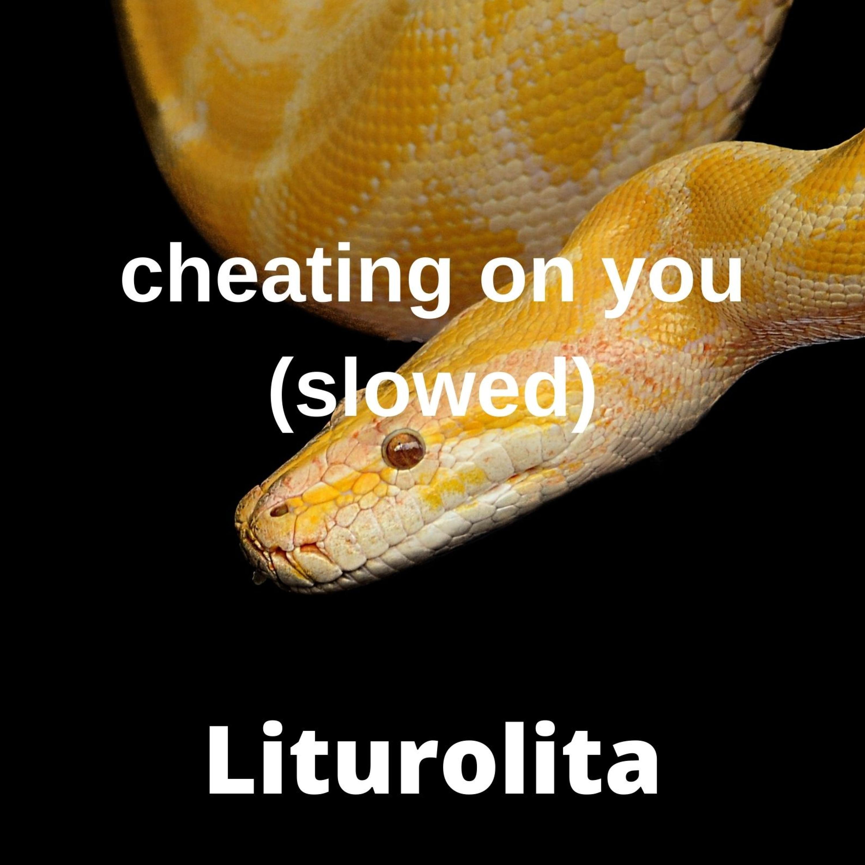 cheating on you (slowed)
