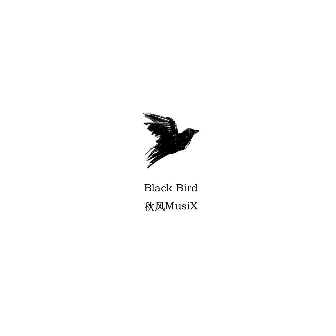 Black Bird专辑