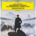 Schubert - 'Wanderer' Fantasie, Piano Sonata D 845专辑