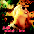 The Bridge Of Color