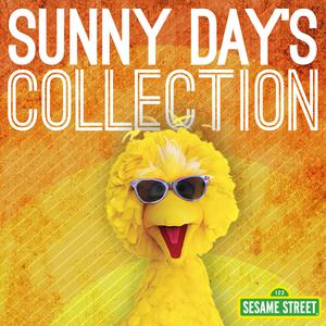 Sesame Street (Cast Of Sesame Street) - Sunny Days (VS karaoke) 带和声伴奏 （降1半音）