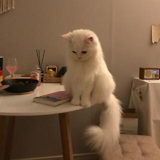 宣泄方式不同 比如听歌