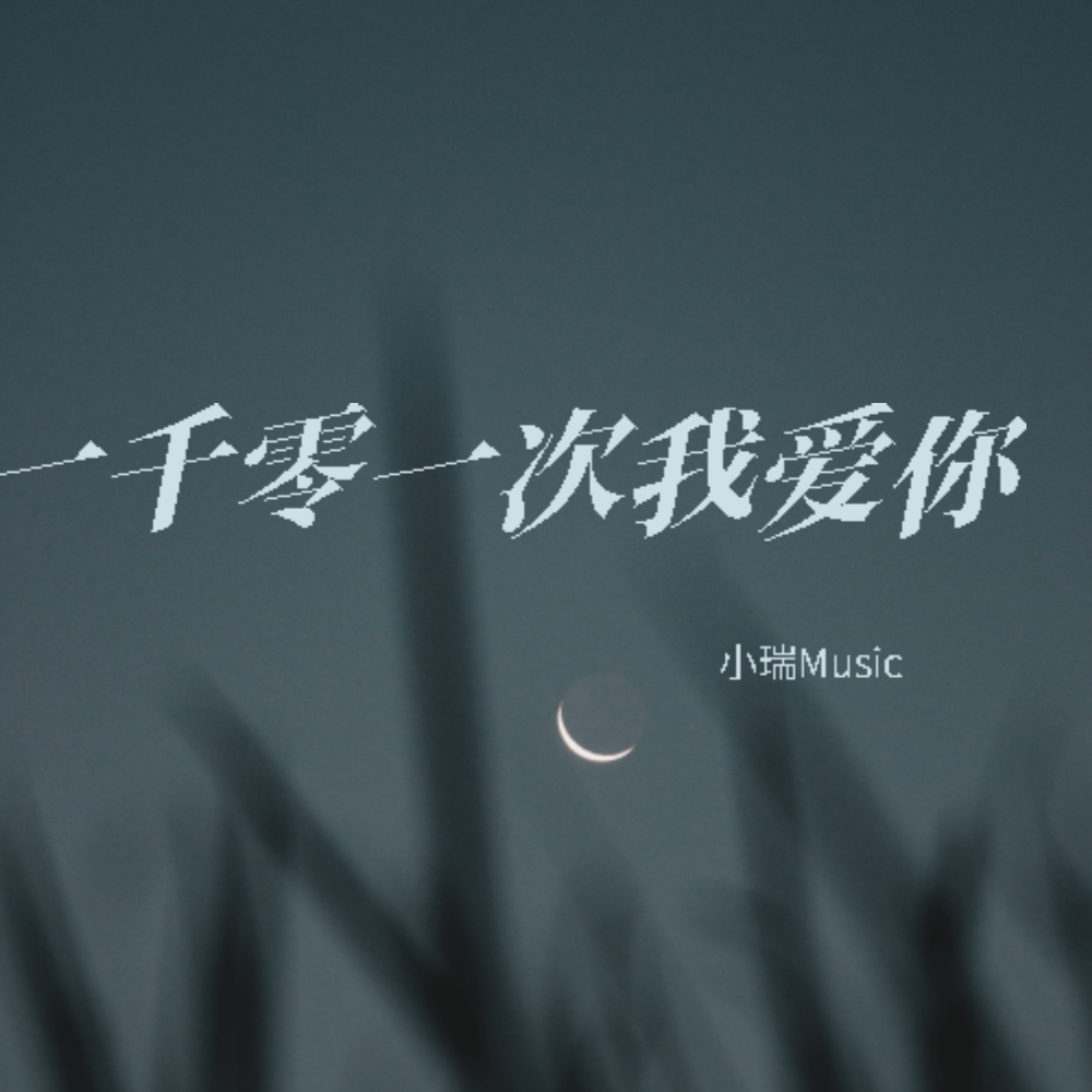一千零一次我爱你（DJ小瑞版）