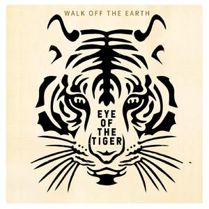 顺子 - Eye Of The Tiger(全能星战版) （降3半音）