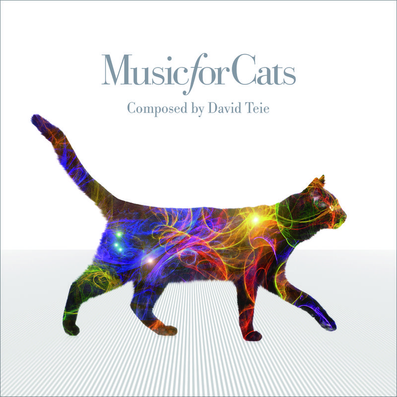 Music For Cats专辑