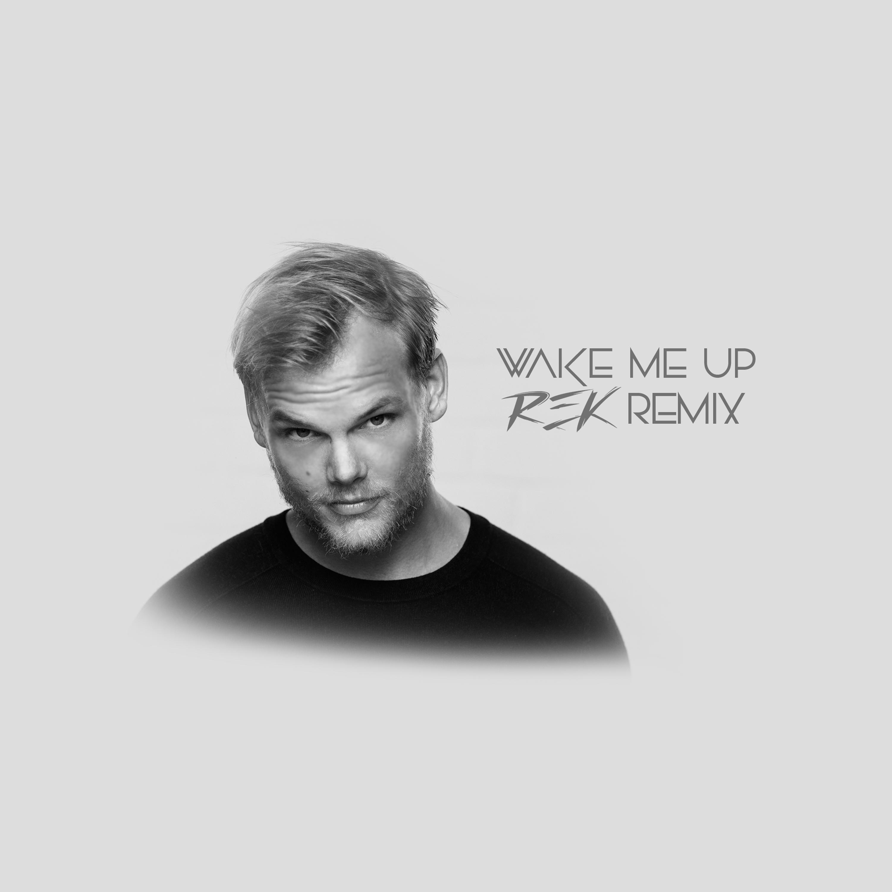 Wake Me Up (REK Remix)专辑