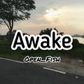 Awake