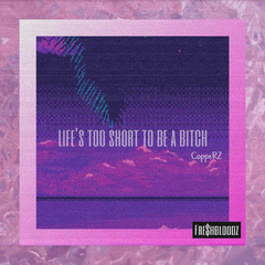 Life's too short to be a *****