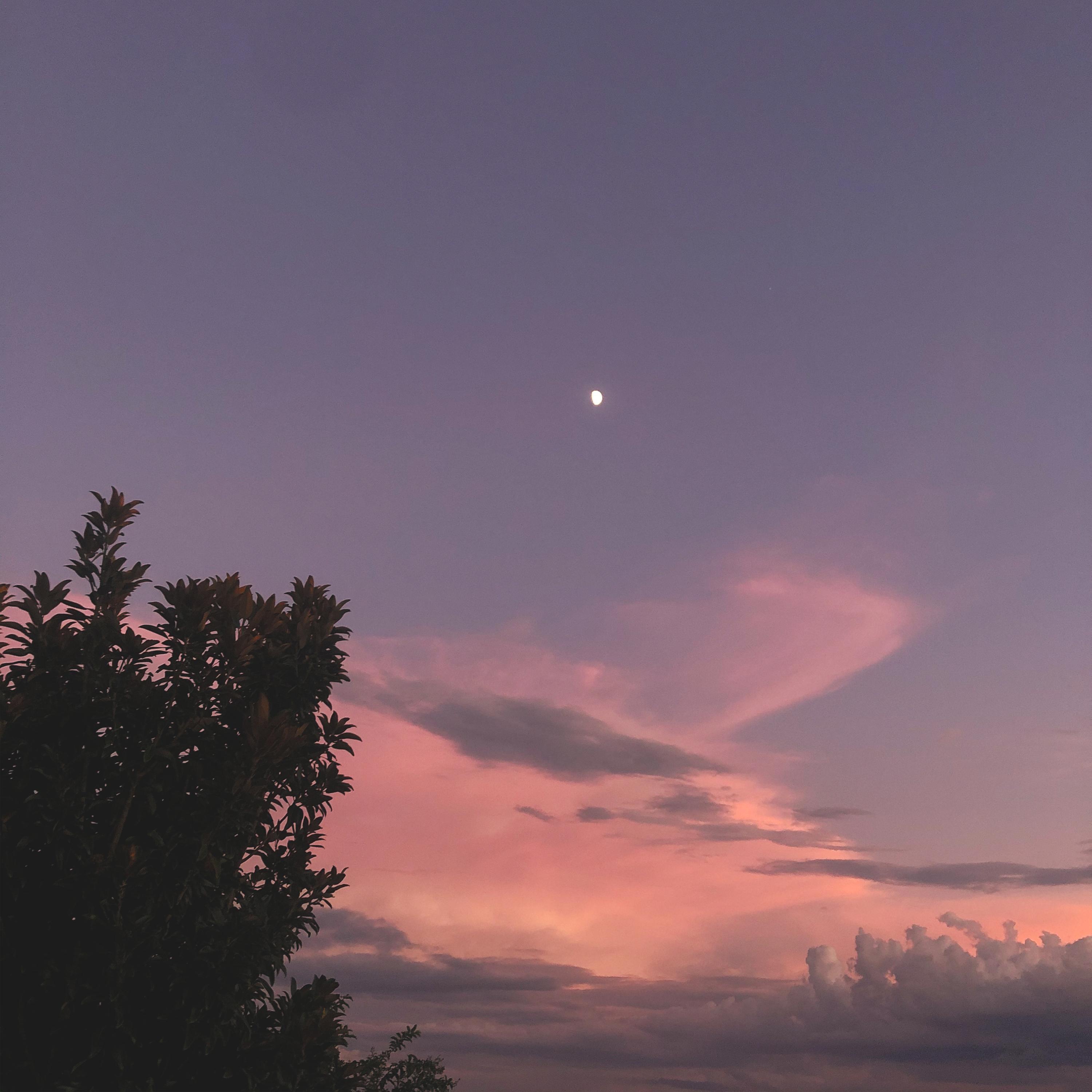 until the stars go out