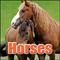 Horses: Sound Effects专辑