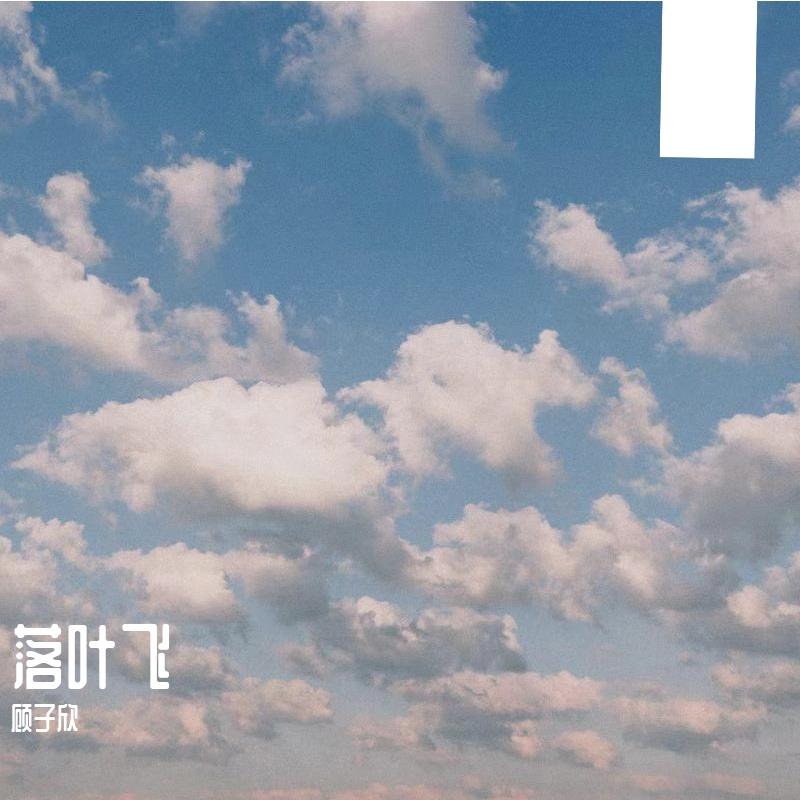 落叶飞