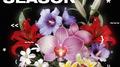 the asia tour: blooming season ep专辑