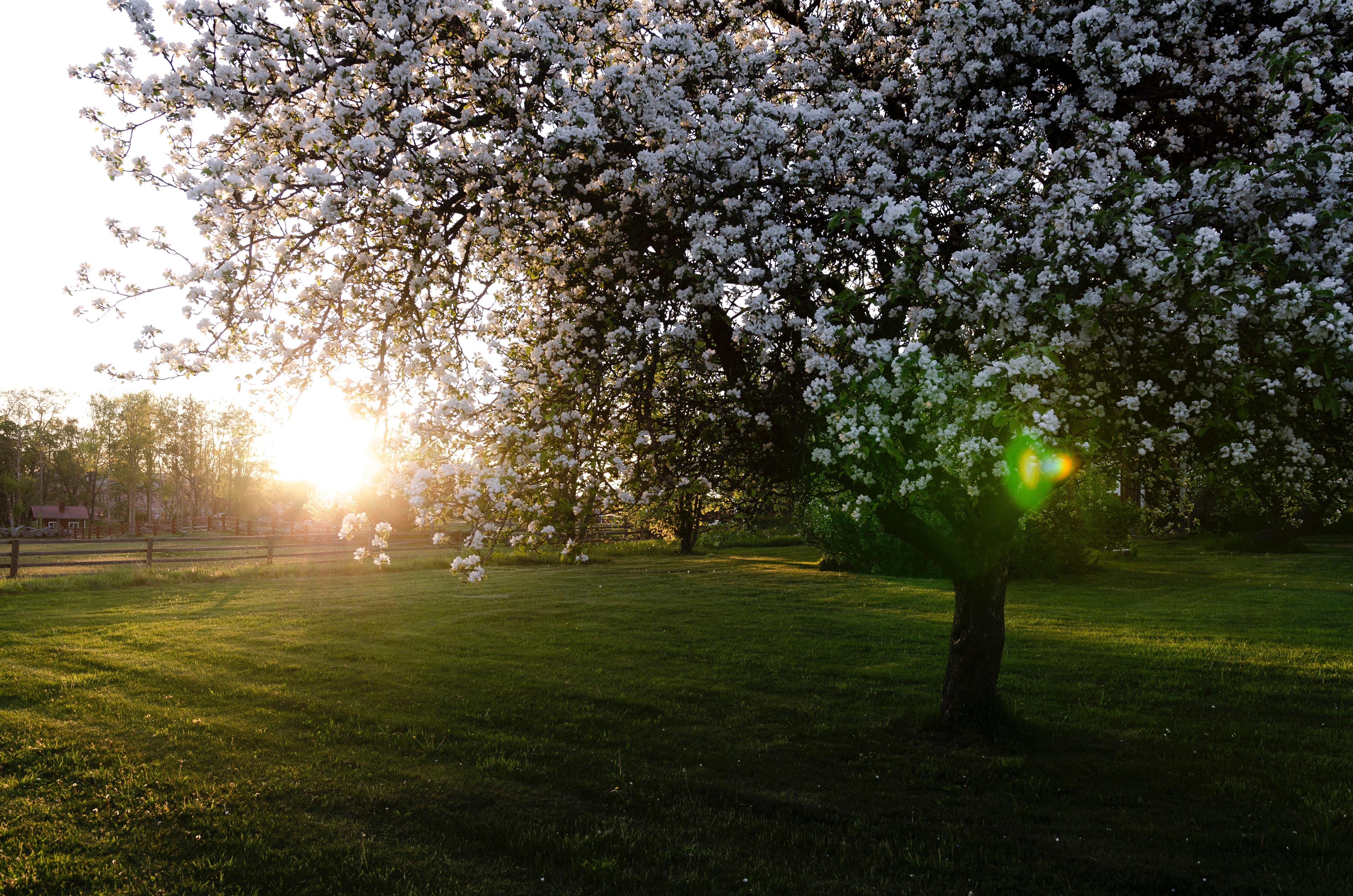 You Bring Me Joy - Tranquil New Age Music, Nature's Blessing, Relaxation Meditation Music