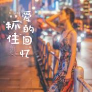 抓住爱的回忆 (DJ默涵版)