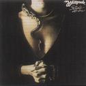 Slide It In (25th Anniversary Expanded Edition)专辑