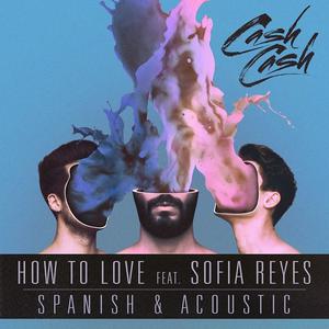 Cash Cash&Sofia Reyes-How To Love 原版立体声伴奏 （升5半音）
