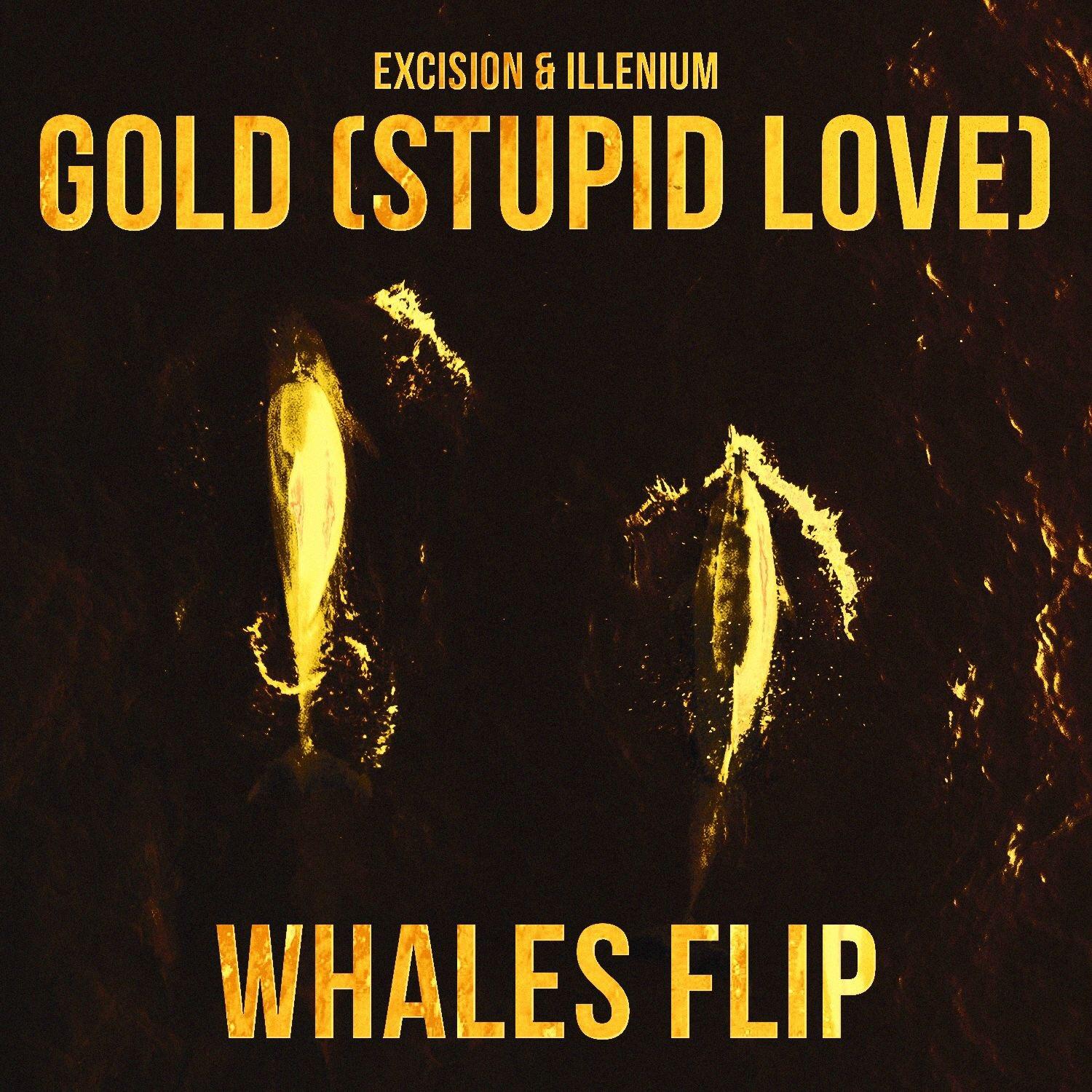 Gold (Stupid Love) (Whales Flip)专辑