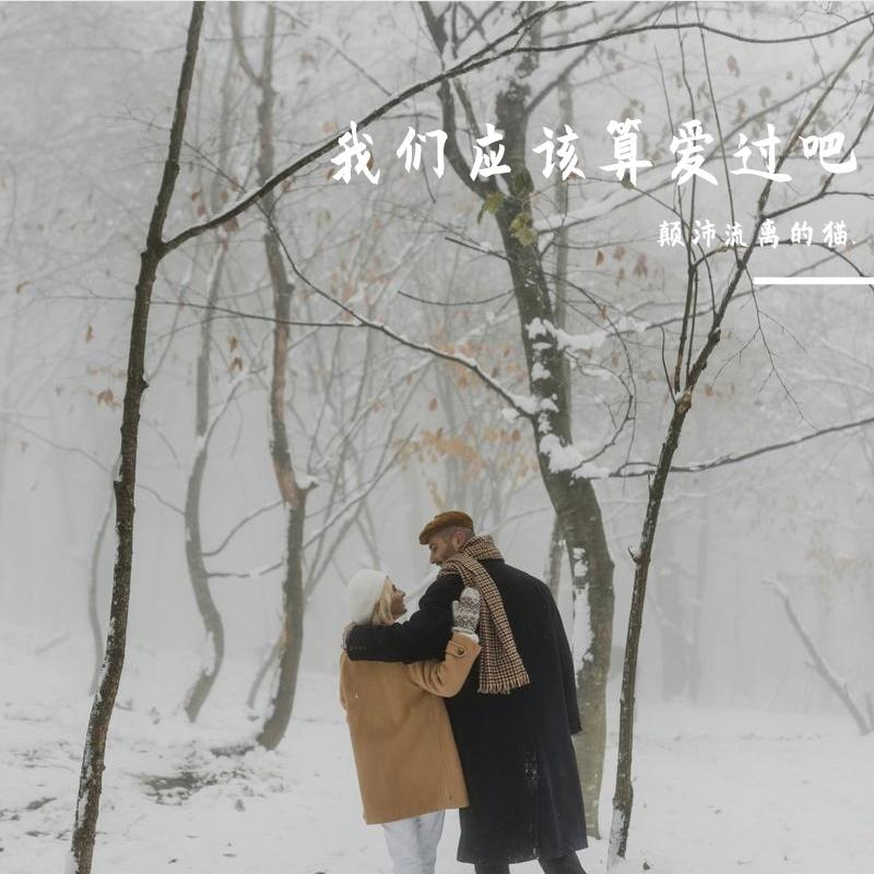 我们应该算爱过吧-颠沛流离的猫