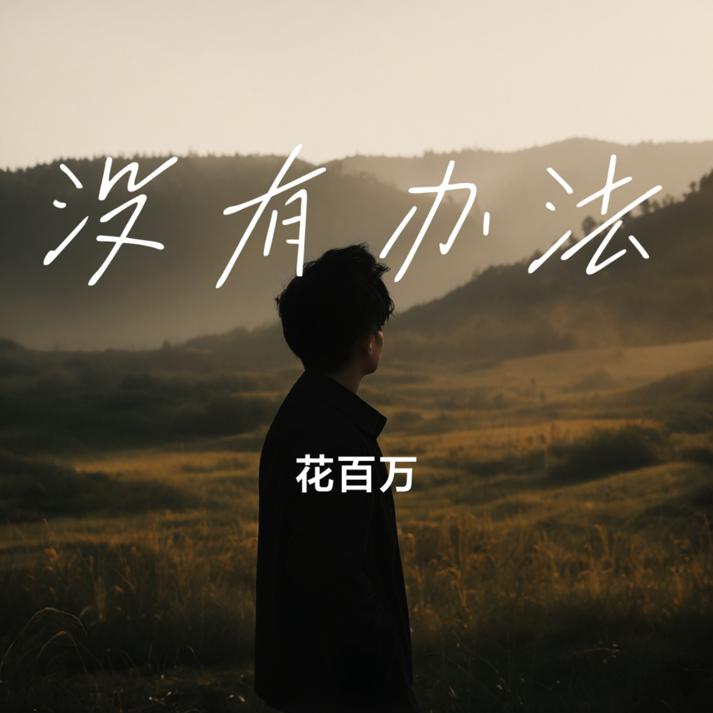没有办法